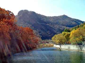 新澳天天开奖资料大全旅游团，电子白板技术